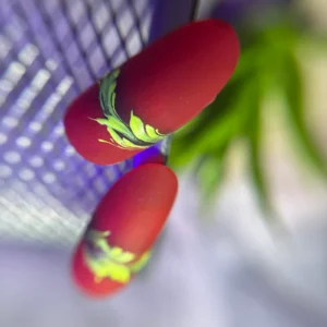img 7290 scaled Αντιγραφή